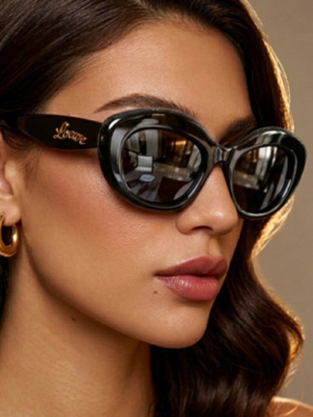 NWT LOEWE SUNGLASSES
